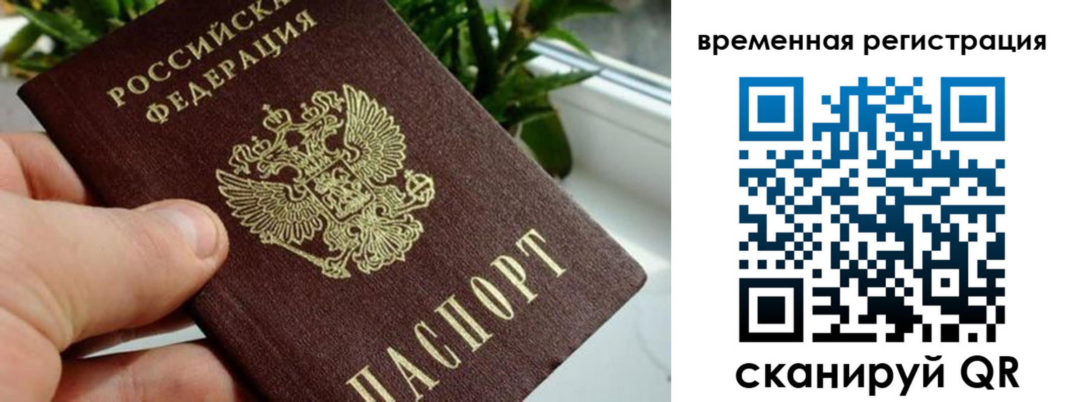прописка поиск в Славгороде